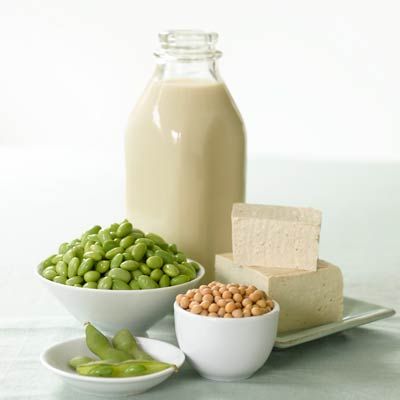 Vegan Protein Powders: Benefits and Best Brands